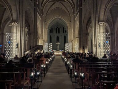 Collégiale Reins Unis IV - Marron - Neuf