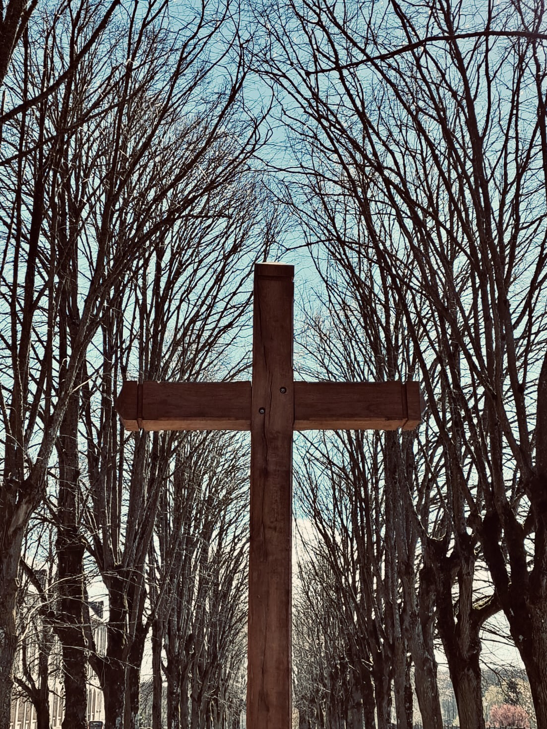 Bénédiction Dun Nouveau Calvaire à La Croix Des Vents Sées Riposte Catholique 